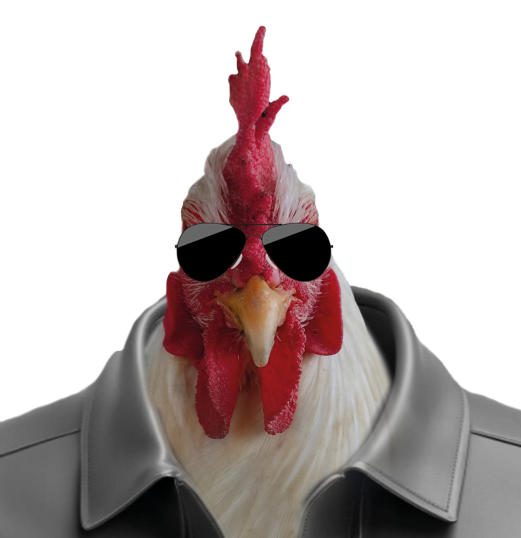 oilarra