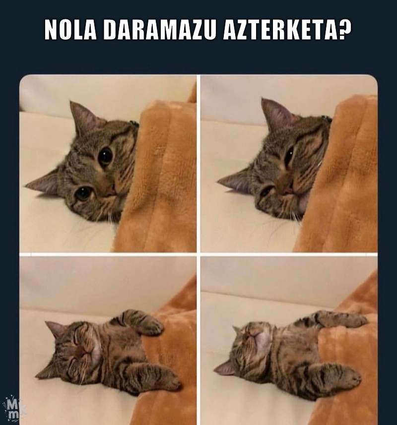 Ze azterketa?