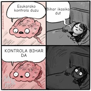 Euskarako kontrola