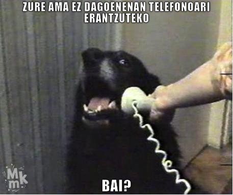 zure ama ez dagoenenan telefonoari erantzuteko