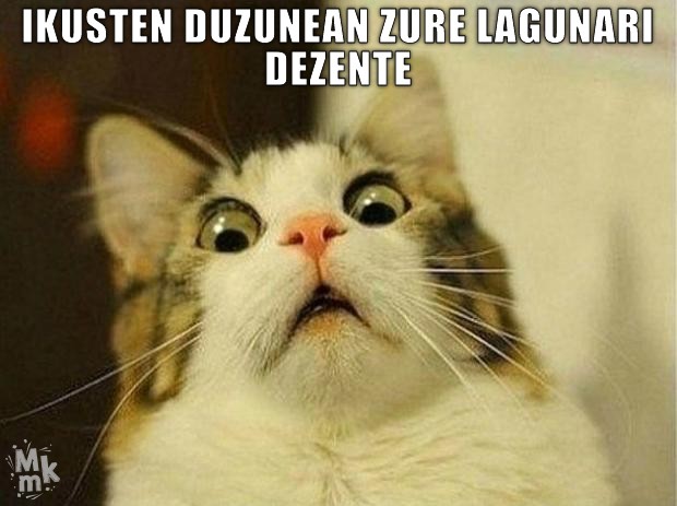 IKusten duzunean zure lagunari dezente