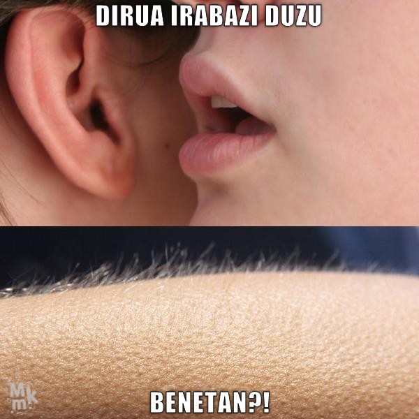 Ez den gertatuko gauza bat