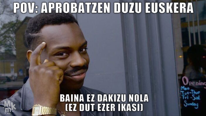 Ez dut ezer ikasi