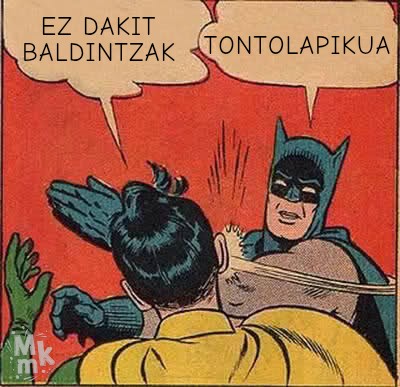Euskarako irakaslea