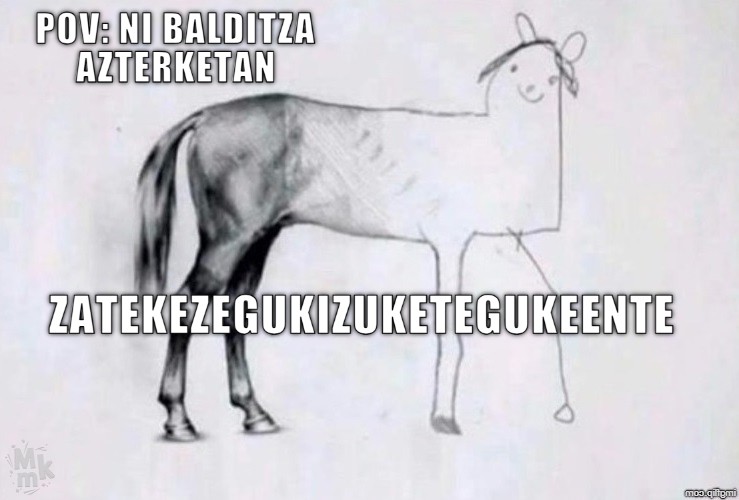 BALDINTZA AZTERKETA