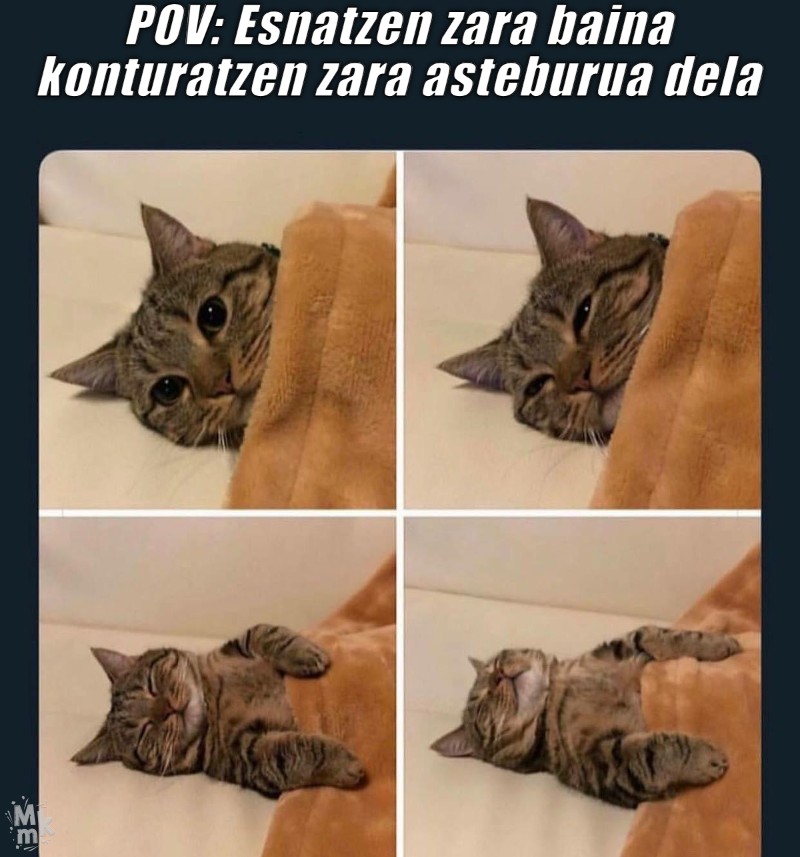 POV: Esnatzen zara baina konturatzen zara asteburua dela