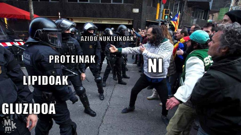 EGUNEROKO ARAZOA