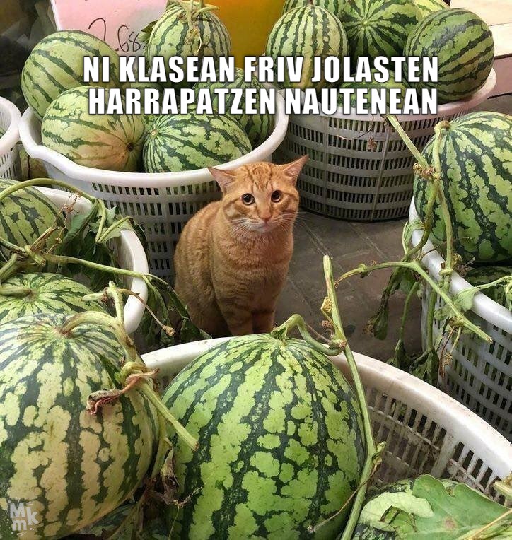 bai.