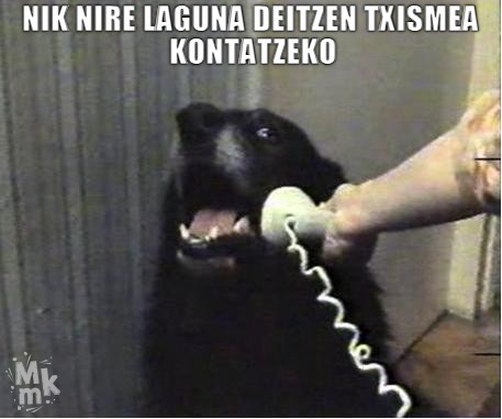 Txismea