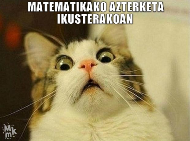 Matematikako azterketa